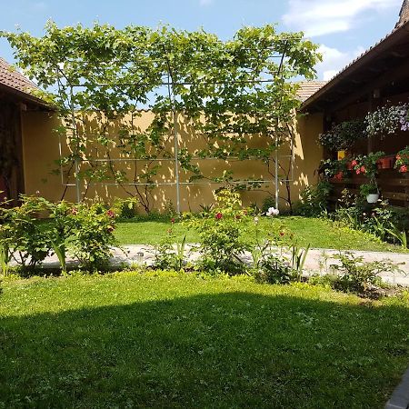 Casa Ovesia Villa Săcele Exteriör bild