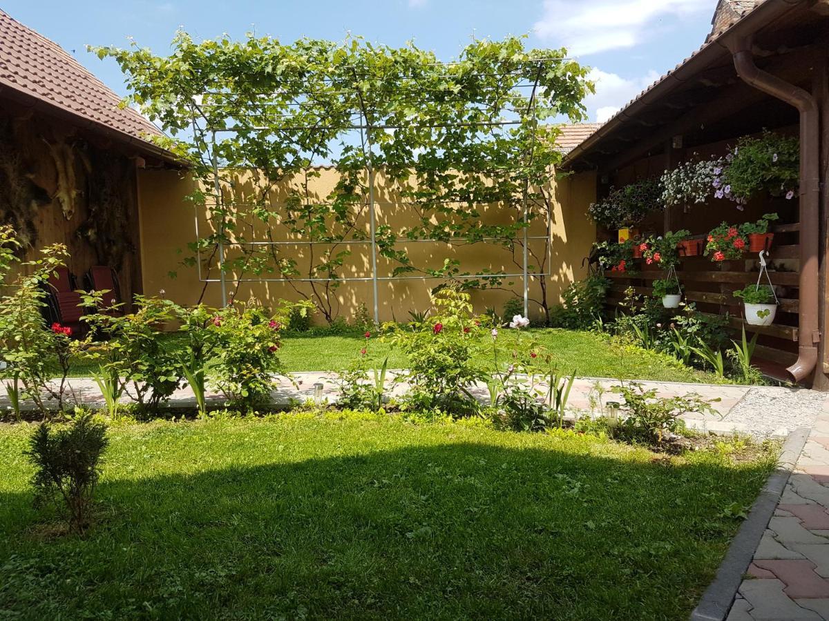 Casa Ovesia Villa Săcele Exteriör bild